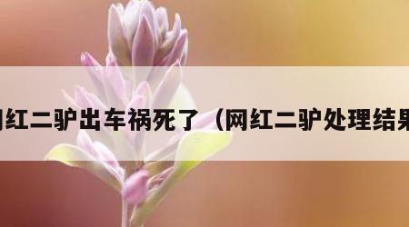 网红二驴出车祸死了（网红二驴处理结果）