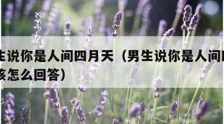 男生说你是人间四月天（男生说你是人间四月天该怎么回答）