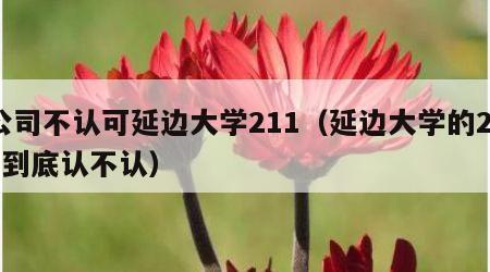 公司不认可延边大学211（延边大学的211到底认不认）