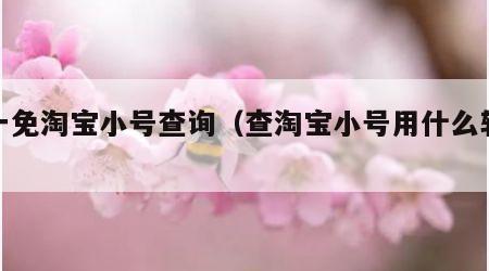 淘一免淘宝小号查询（查淘宝小号用什么软件）