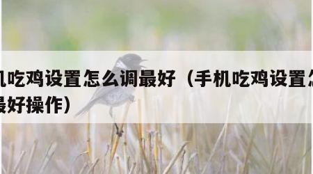 手机吃鸡设置怎么调最好（手机吃鸡设置怎么调最好操作）