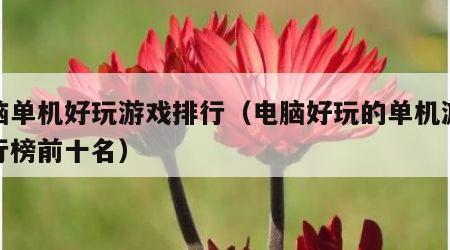 电脑单机好玩游戏排行（电脑好玩的单机游戏排行榜前十名）