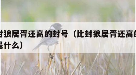 比封狼居胥还高的封号（比封狼居胥还高的封号是什么）