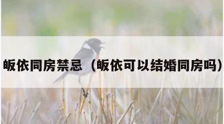 皈依同房禁忌（皈依可以结婚同房吗）