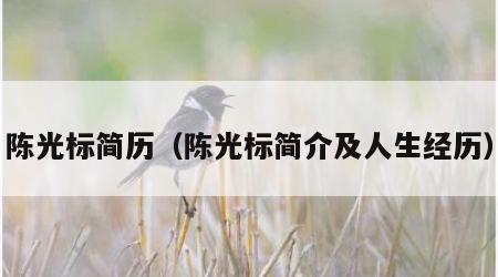 陈光标简历（陈光标简介及人生经历）