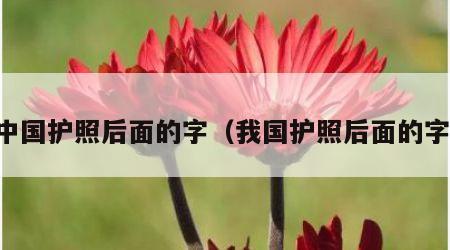 中国护照后面的字（我国护照后面的字）