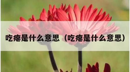 吃瘪是什么意思（吃瘪是什么意思）