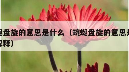 蜿蜒盘旋的意思是什么（蜿蜒盘旋的意思是什么解释）