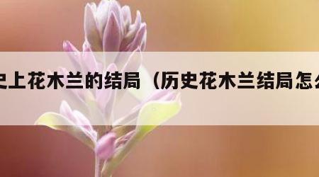 历史上花木兰的结局（历史花木兰结局怎么样）