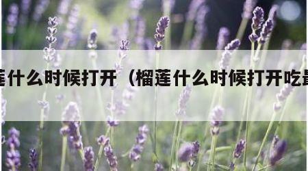 榴莲什么时候打开（榴莲什么时候打开吃最好吃）