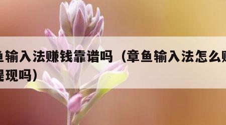 章鱼输入法赚钱靠谱吗（章鱼输入法怎么赚钱能提现吗）