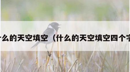 什么的天空填空（什么的天空填空四个字）