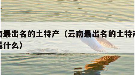 云南最出名的土特产（云南最出名的土特产虫草是什么）