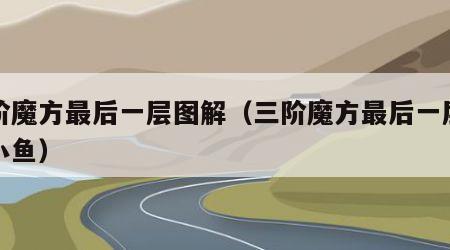 三阶魔方最后一层图解（三阶魔方最后一层图解小鱼）