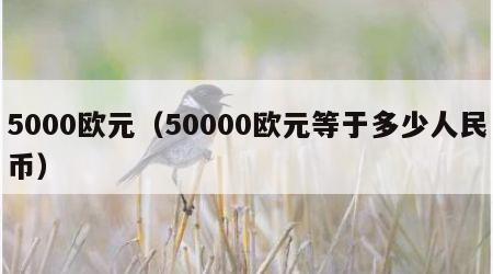 5000欧元（50000欧元等于多少人民币）