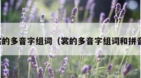 裳的多音字组词（裳的多音字组词和拼音）