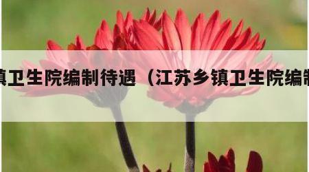 乡镇卫生院编制待遇（江苏乡镇卫生院编制待遇）