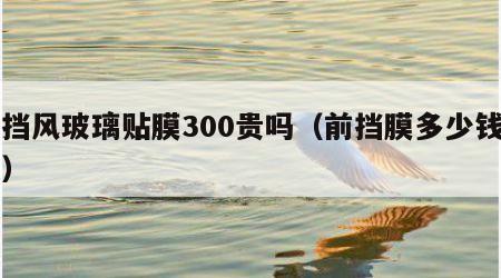 前挡风玻璃贴膜300贵吗（前挡膜多少钱一张）