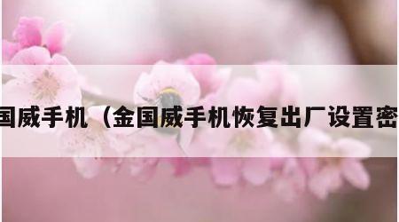 金国威手机（金国威手机恢复出厂设置密码）