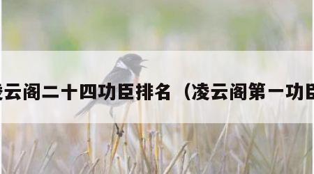 凌云阁二十四功臣排名（凌云阁第一功臣）