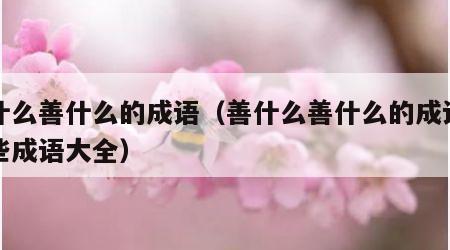 善什么善什么的成语（善什么善什么的成语有哪些成语大全）