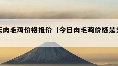 明天肉毛鸡价格报价（今日肉毛鸡价格是多少）