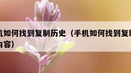 手机如何找到复制历史（手机如何找到复制历史内容）