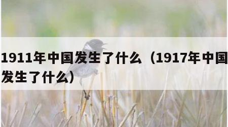 1911年中国发生了什么（1917年中国发生了什么）