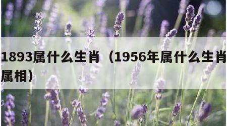 1893属什么生肖（1956年属什么生肖属相）