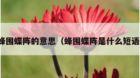 蜂围蝶阵的意思（蜂围蝶阵是什么短语）