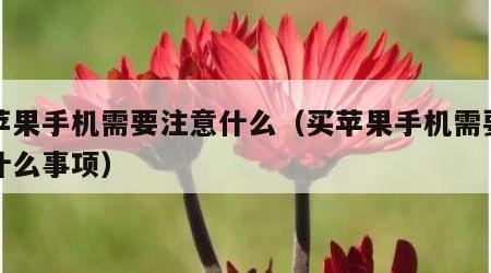 买苹果手机需要注意什么（买苹果手机需要注意什么事项）