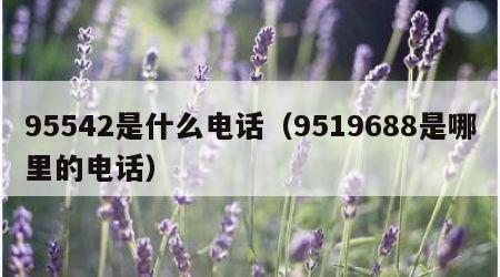 95542是什么电话（9519688是哪里的电话）