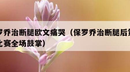 保罗乔治断腿欧文痛哭（保罗乔治断腿后第一场比赛全场鼓掌）