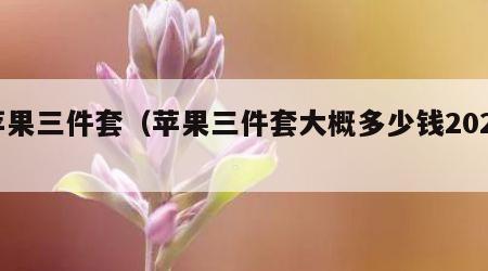 苹果三件套（苹果三件套大概多少钱2023）