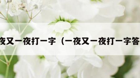 一夜又一夜打一字（一夜又一夜打一字答案）