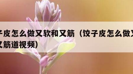 饺子皮怎么做又软和又筋（饺子皮怎么做又软和又筋道视频）