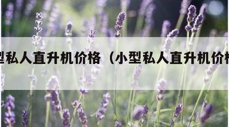 小型私人直升机价格（小型私人直升机价格表）