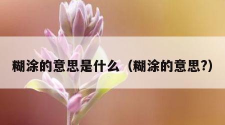 糊涂的意思是什么（糊涂的意思?）