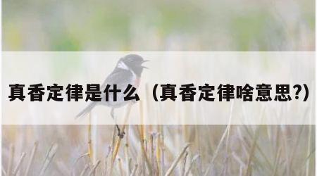 真香定律是什么（真香定律啥意思?）