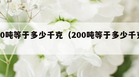 20吨等于多少千克（200吨等于多少千克）