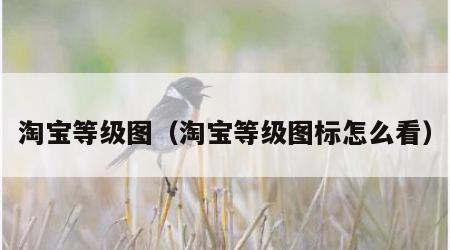 淘宝等级图（淘宝等级图标怎么看）