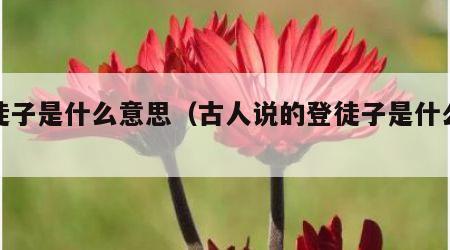 登徒子是什么意思（古人说的登徒子是什么意思）