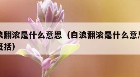 白浪翻滚是什么意思（白浪翻滚是什么意思简单概括）