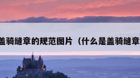 盖骑缝章的规范图片（什么是盖骑缝章）
