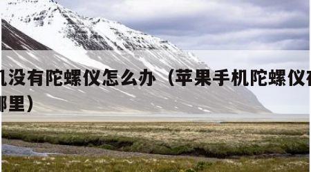 手机没有陀螺仪怎么办（苹果手机陀螺仪在设置哪里）