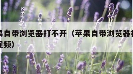 苹果自带浏览器打不开（苹果自带浏览器打不开视频）