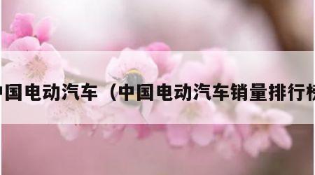中国电动汽车（中国电动汽车销量排行榜）