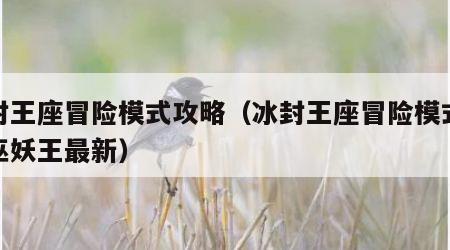 冰封王座冒险模式攻略（冰封王座冒险模式攻略巫妖王最新）