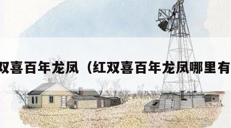 红双喜百年龙凤（红双喜百年龙凤哪里有卖）