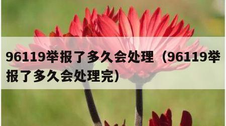 96119举报了多久会处理（96119举报了多久会处理完）
